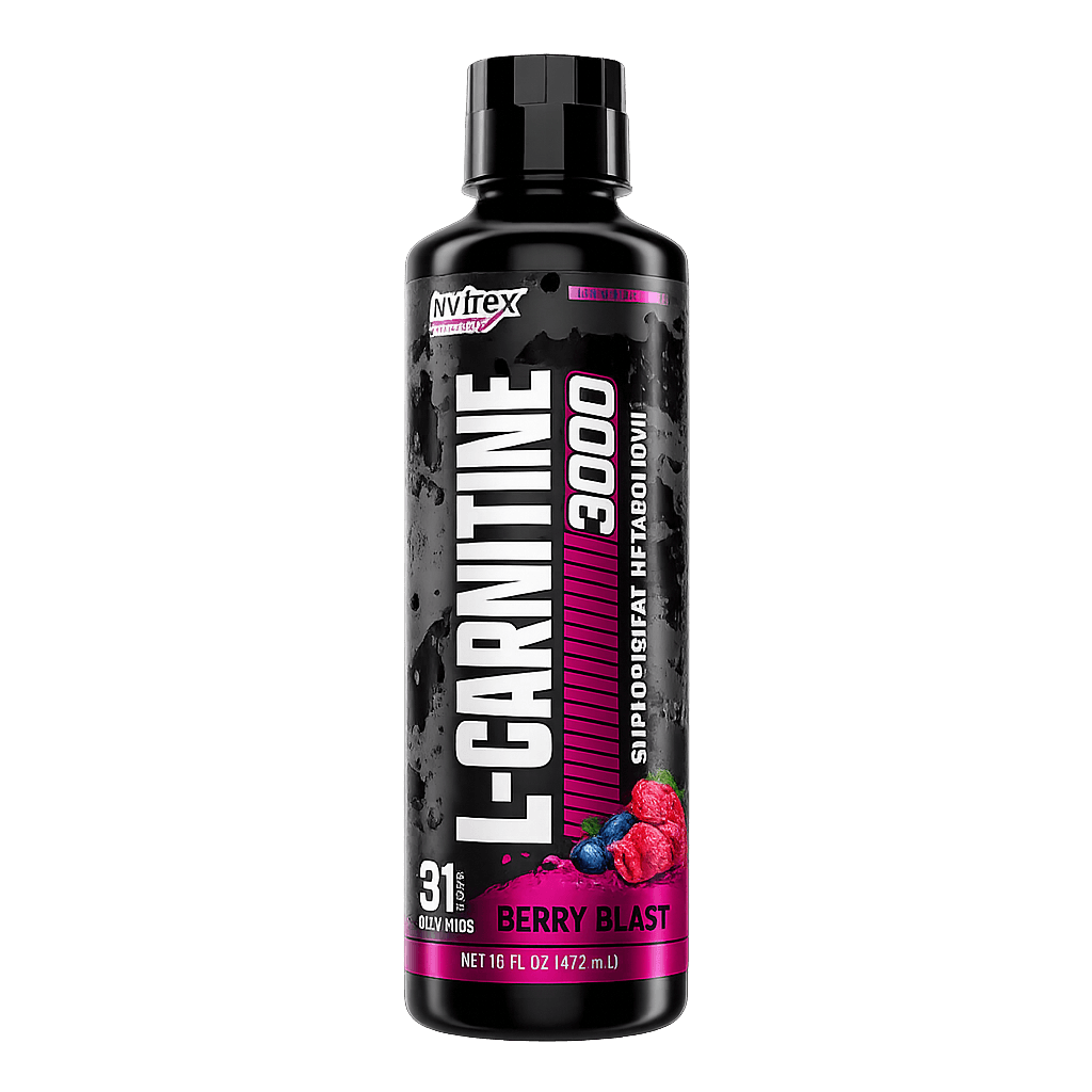 L-CARNITINA 3000 31 SERV