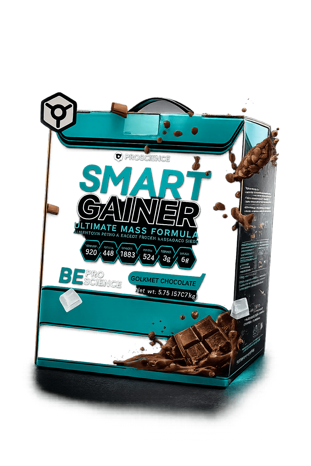 SMART GAINER 13 LBS